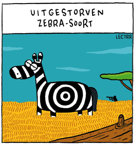 Zebrasoort