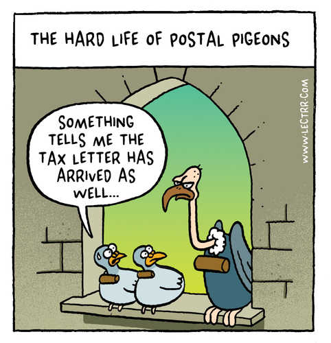 Postal pigeons