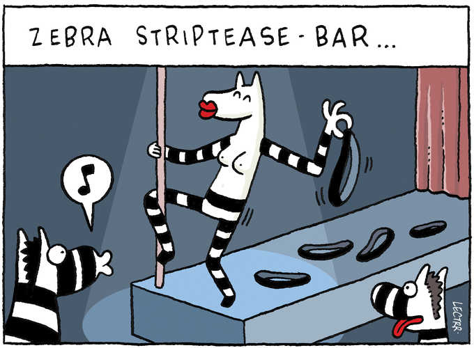 Zebra striptease